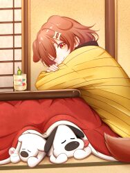 inugami korone from hololive