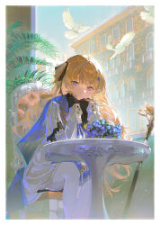 phoebe (wuthering waves) from wuthering waves