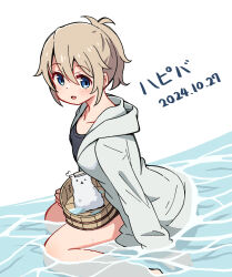 aoyama blue mountain from gochuumon wa usagi desu ka?