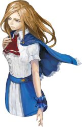 charlotte aulin from castlevania: portrait of ruin by kojima ayami