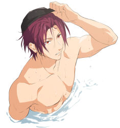 matsuoka rin from free!