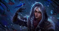 ciri from the witcher (series)