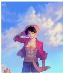 monkey d. luffy from one piece