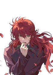 kurama from yuu yuu hakusho