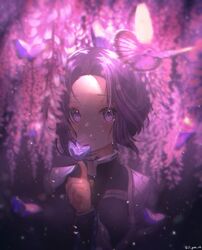 kochou shinobu from kimetsu no yaiba