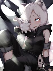 shirayuki (arknights) from arknights by tab head
