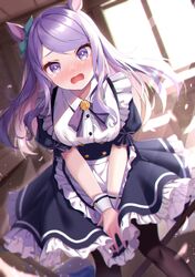 mejiro mcqueen (umamusume) from umamusume