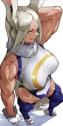 mirko from boku no hero academia by yoshio (55level)