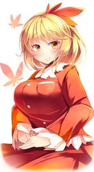 aki shizuha from touhou by kanzakietc