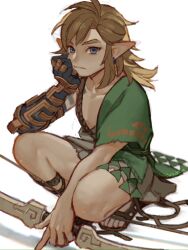 link from the legend of zelda by ivy (sena0119)