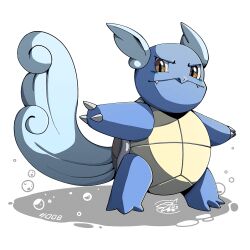 wartortle from pokemon