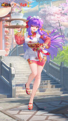 shampoo (ranma 1/2) from houchi shoujo