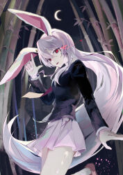 reisen udongein inaba from touhou