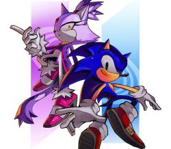 blaze the cat from sonic (series)