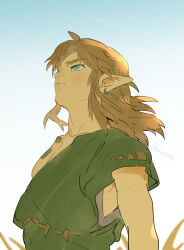 link from the legend of zelda