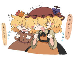 aki minoriko from touhou by kuuinusuki