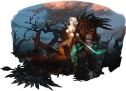 ciri from the witcher (series)