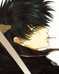 hijikata toushirou from gintama