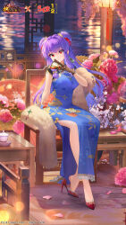shampoo (ranma 1/2) from houchi shoujo