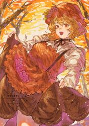aki minoriko from touhou