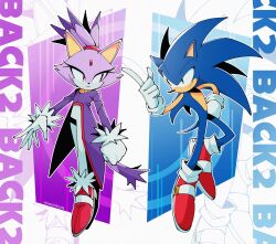 blaze the cat from sonic (series)