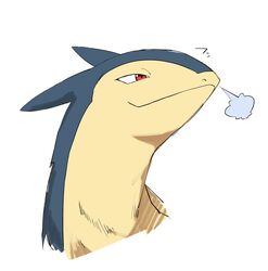 typhlosion from pokemon