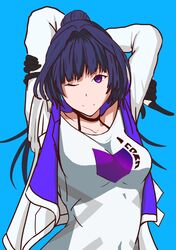 raiden mei from honkai (series)