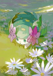 shaymin from pokemon by two pokemon