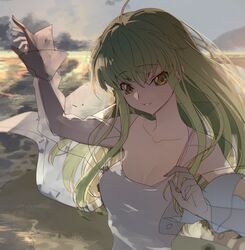 c.c. from code geass by creayus