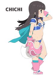 chi-chi (dragon ball) from dragon ball
