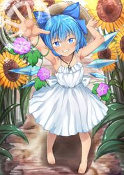 cirno from touhou