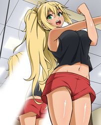 dumbbell nan kilo moteru? fan art
