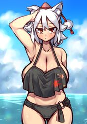 inubashiri momiji from touhou