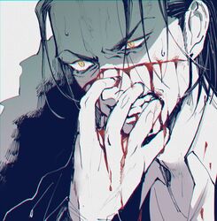 sir crocodile from one piece