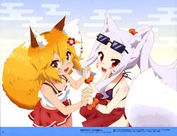 senko (sewayaki kitsune no senko-san) from megami magazine by ooshima miwa