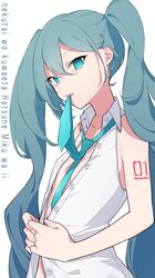 hatsune miku from vocaloid by odd (miyoru)