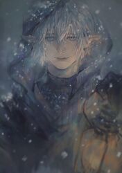 elezen from final fantasy