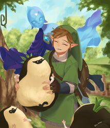 fi from the legend of zelda