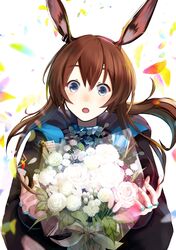 amiya (arknights) from arknights