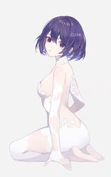 seele vollerei from honkai (series)