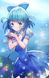 cirno from touhou