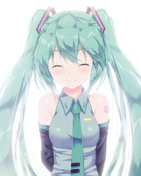 hatsune miku from vocaloid by calcio