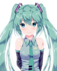 hatsune miku from vocaloid by calcio