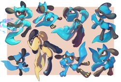 riolu from pokemon