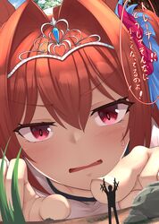 daiwa scarlet (umamusume) from umamusume