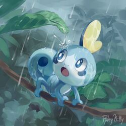 sobble from pokemon