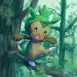 chespin from pokemon