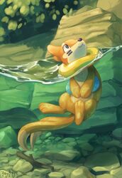 buizel from pokemon