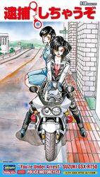 kobayakawa miyuki from hasegawa (hobby kits) by fujishima kousuke
