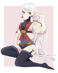 impa from hyrule warriors: age of calamity